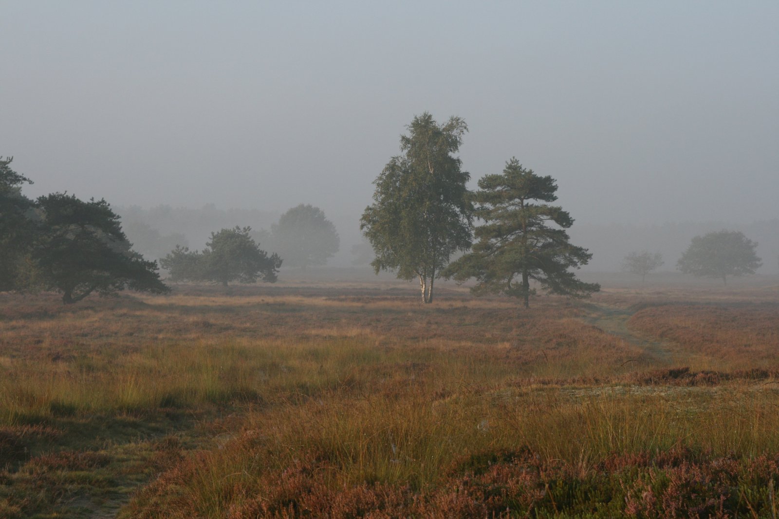 Groote Zand